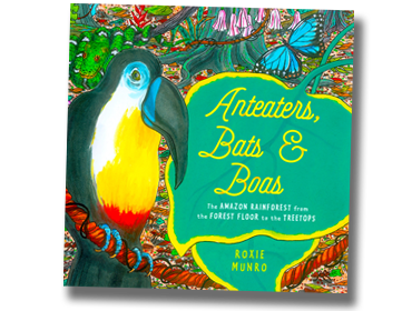 Anteaters Bats Boas